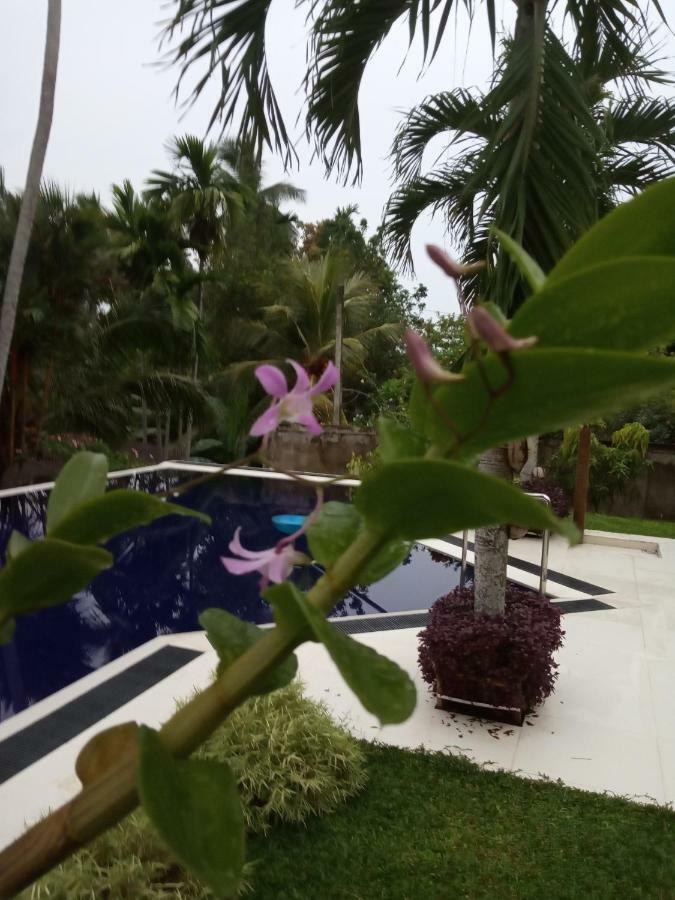 Colibri Villa Maggona 外观 照片